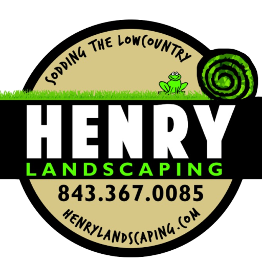 cropped-Logo-Transparent.png